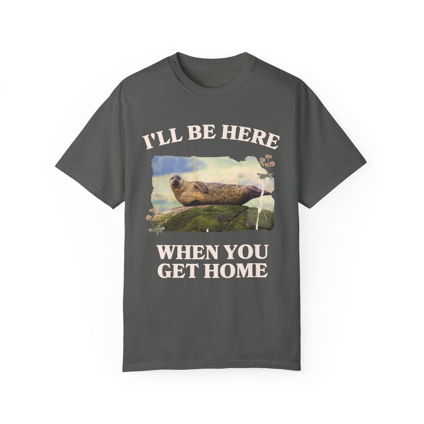 Funny and Cozy Shirt for Cool Homebody
