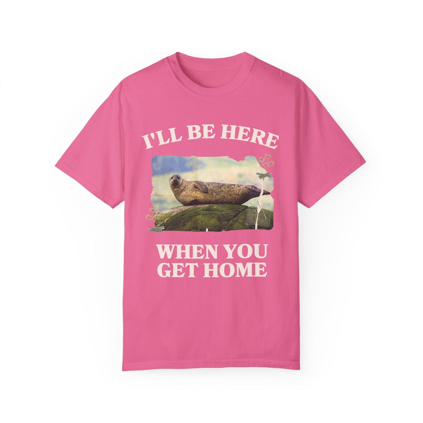 Funny and Cozy Shirt for Cool Homebody