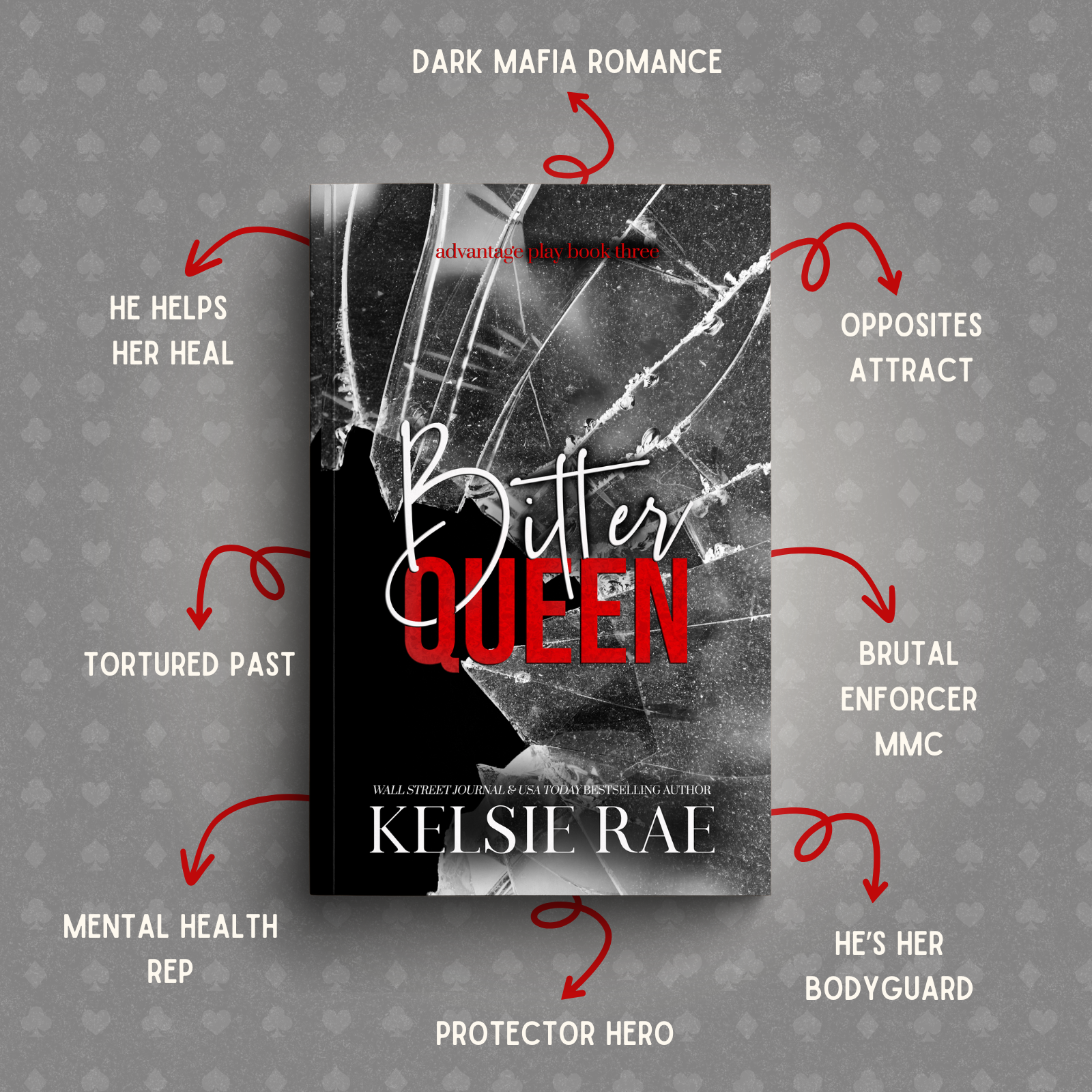 Advantage Play Series Paperback Bundle