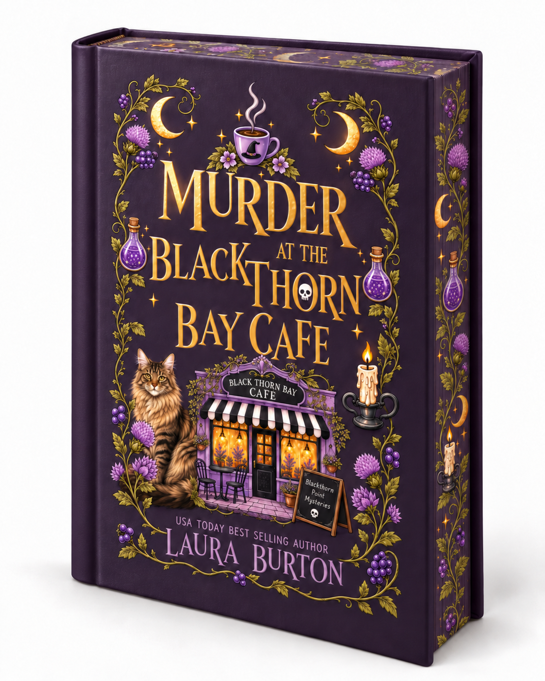 The Blackthorn Point Mystery Bundle