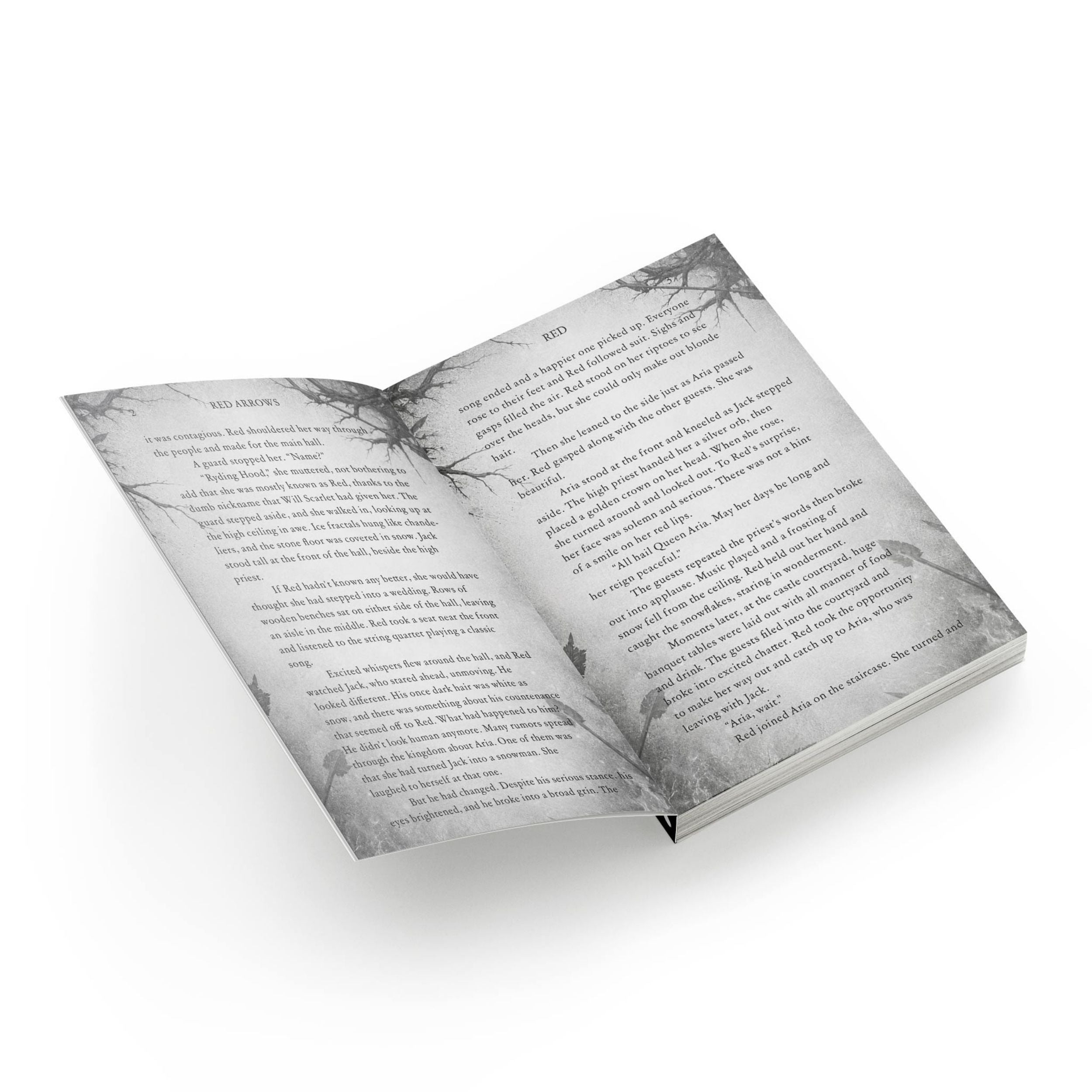 Fairy Tales Reimagined Collector's Edition Paperback Bundle : Fall 2026 Edition