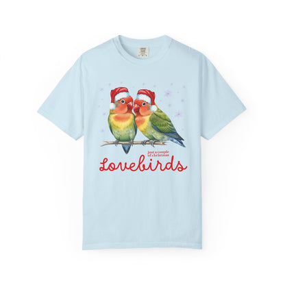 A Couple of Christmas Lovebirds