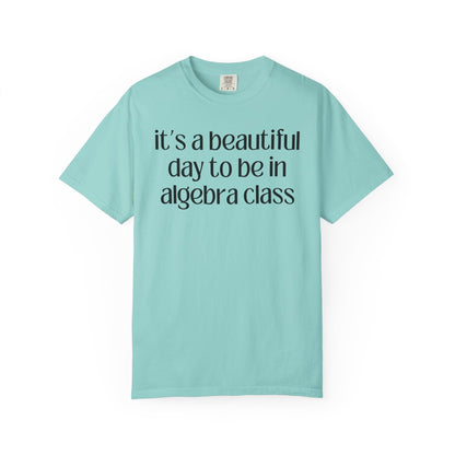 Algebra Teacher T-Shirt