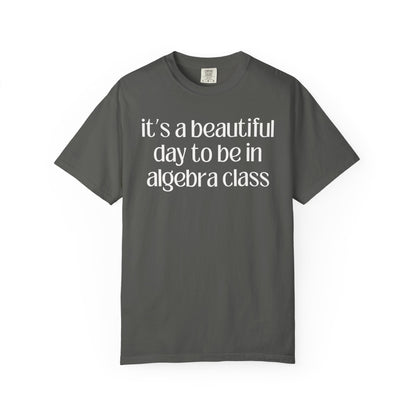 Algebra Teacher T-Shirt