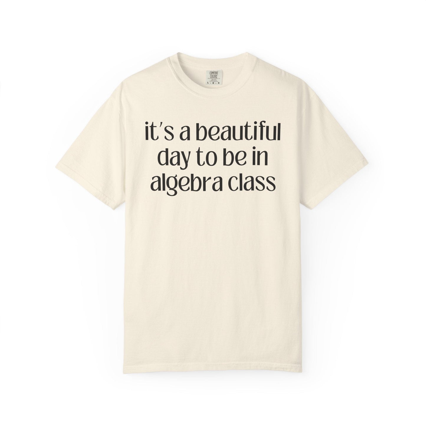 Algebra Teacher T-Shirt