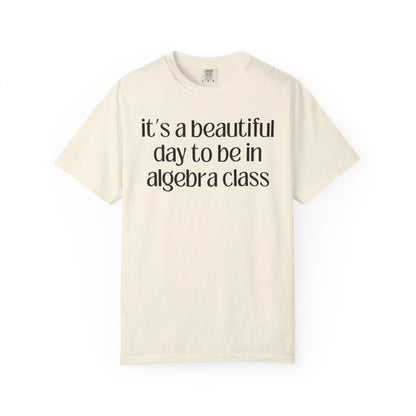 Algebra Teacher T-Shirt