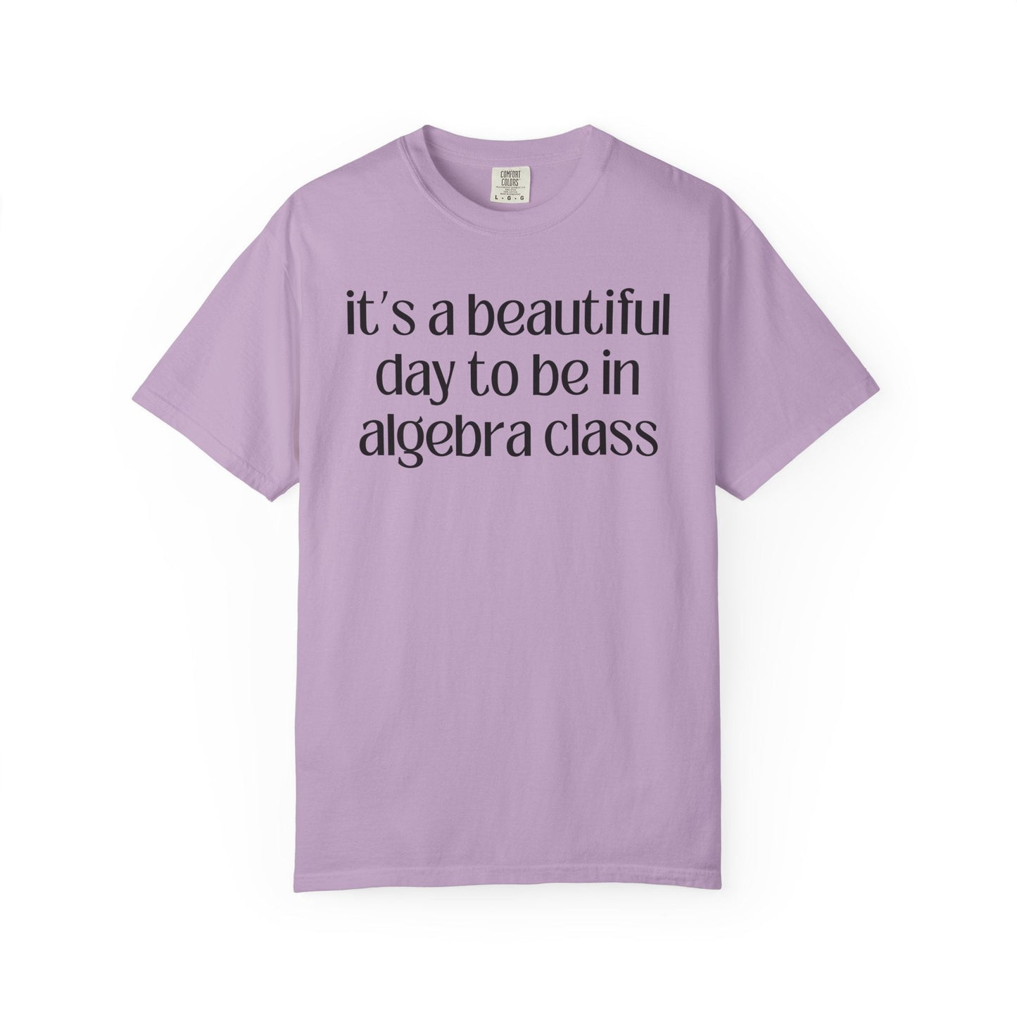 Algebra Teacher T-Shirt