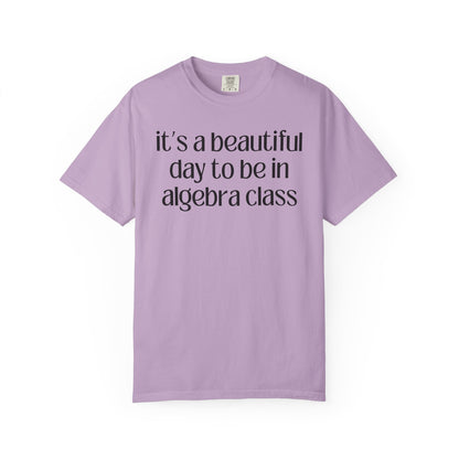 Algebra Teacher T-Shirt