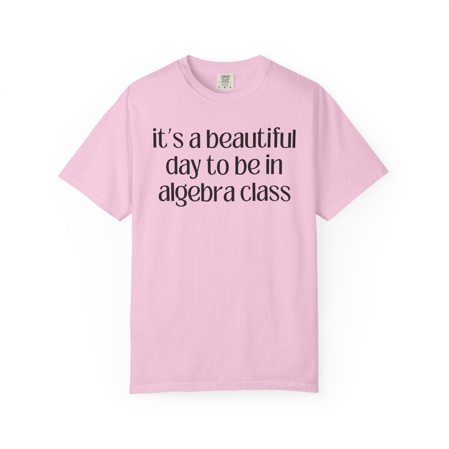 Algebra Teacher T-Shirt