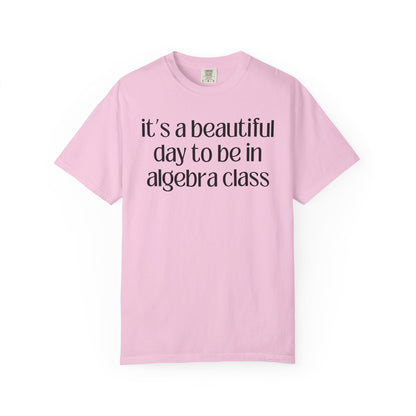 Algebra Teacher T-Shirt