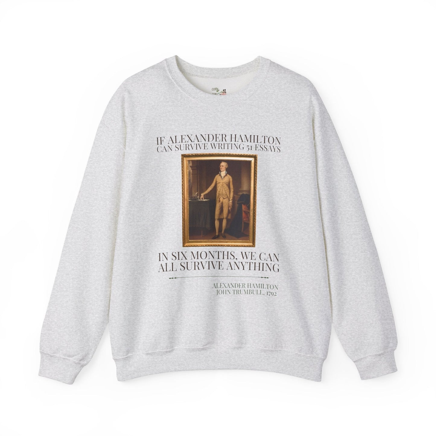 Alexander Hamilton History Sweatshirt