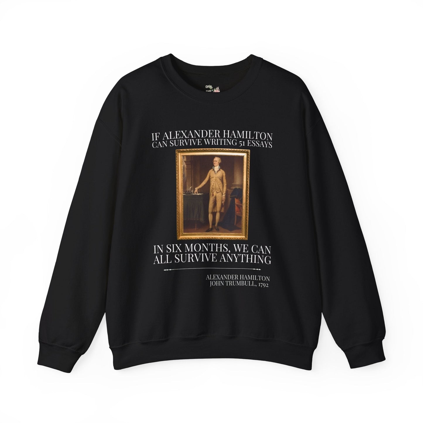 Alexander Hamilton History Sweatshirt