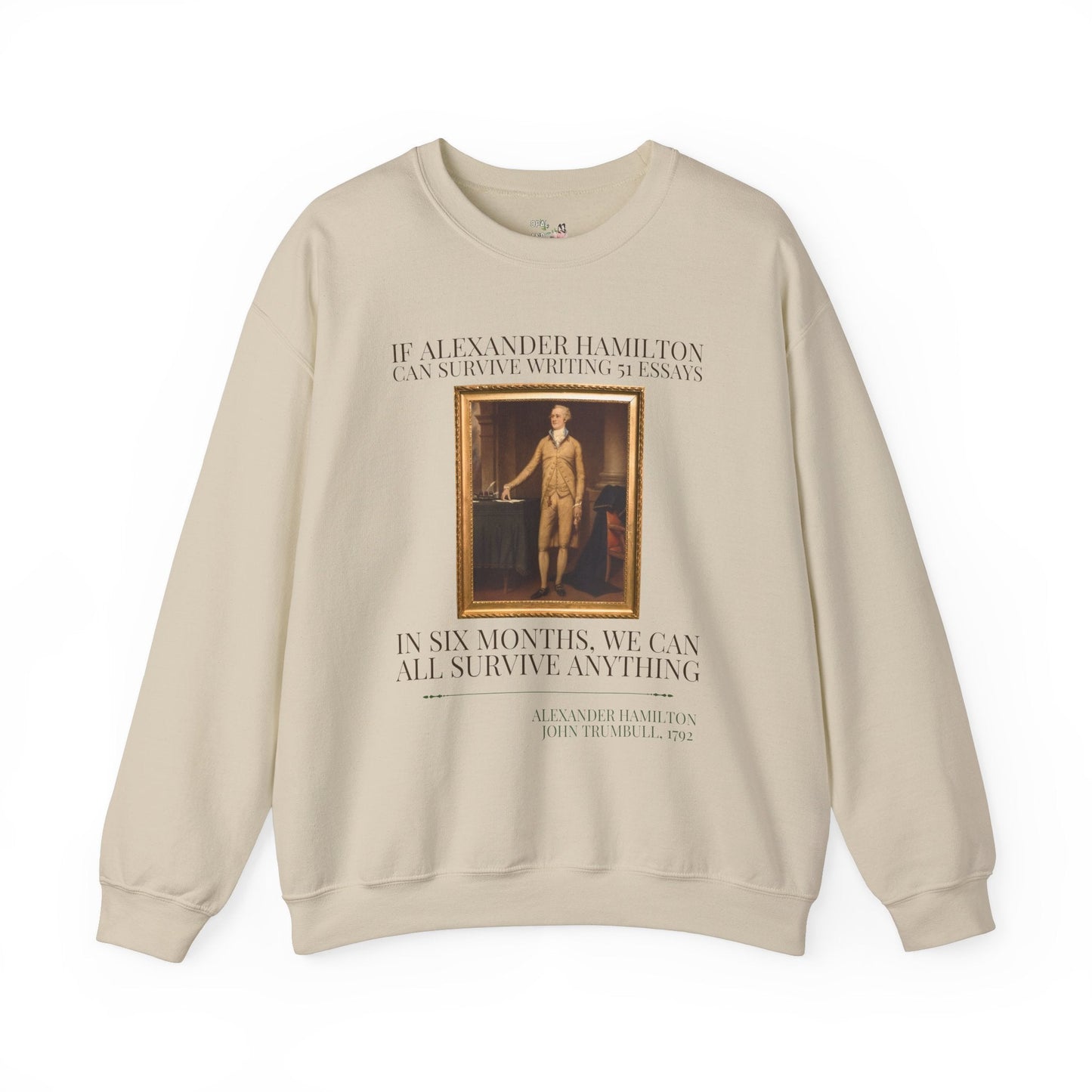 Alexander Hamilton History Sweatshirt