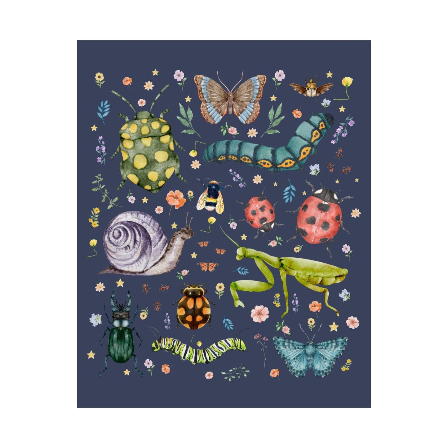 Boho Insect Poster for Entomologist