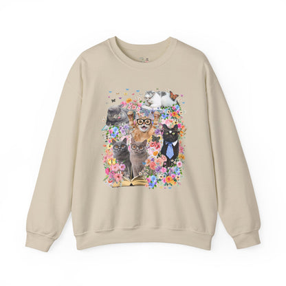 Bookish Cat Teacher Sweatshirt