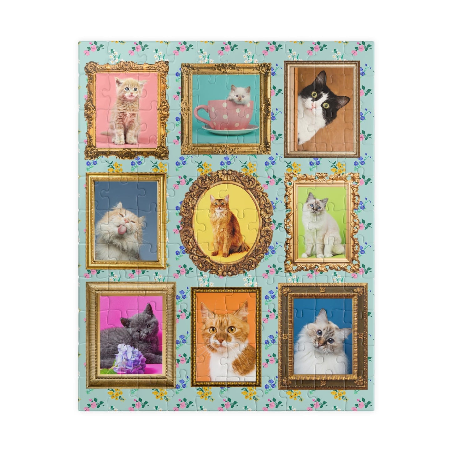 Funny Cat Photos in Frames Puzzle