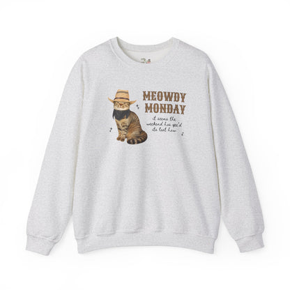 Groovy Cat Lover Sweatshirt