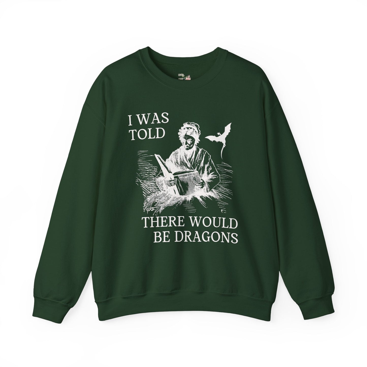 Cute Dragons Sweatshirt