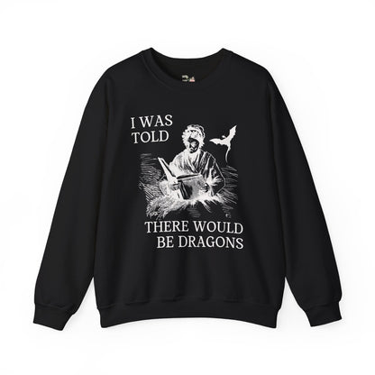 Cute Dragons Sweatshirt