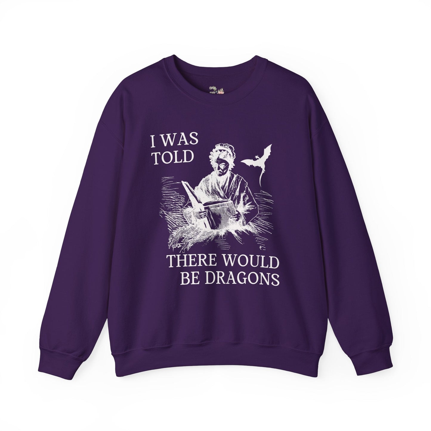 Cute Dragons Sweatshirt