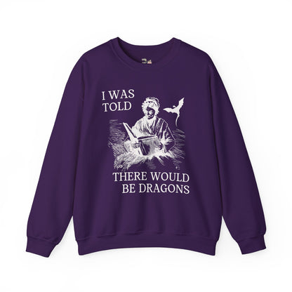 Cute Dragons Sweatshirt