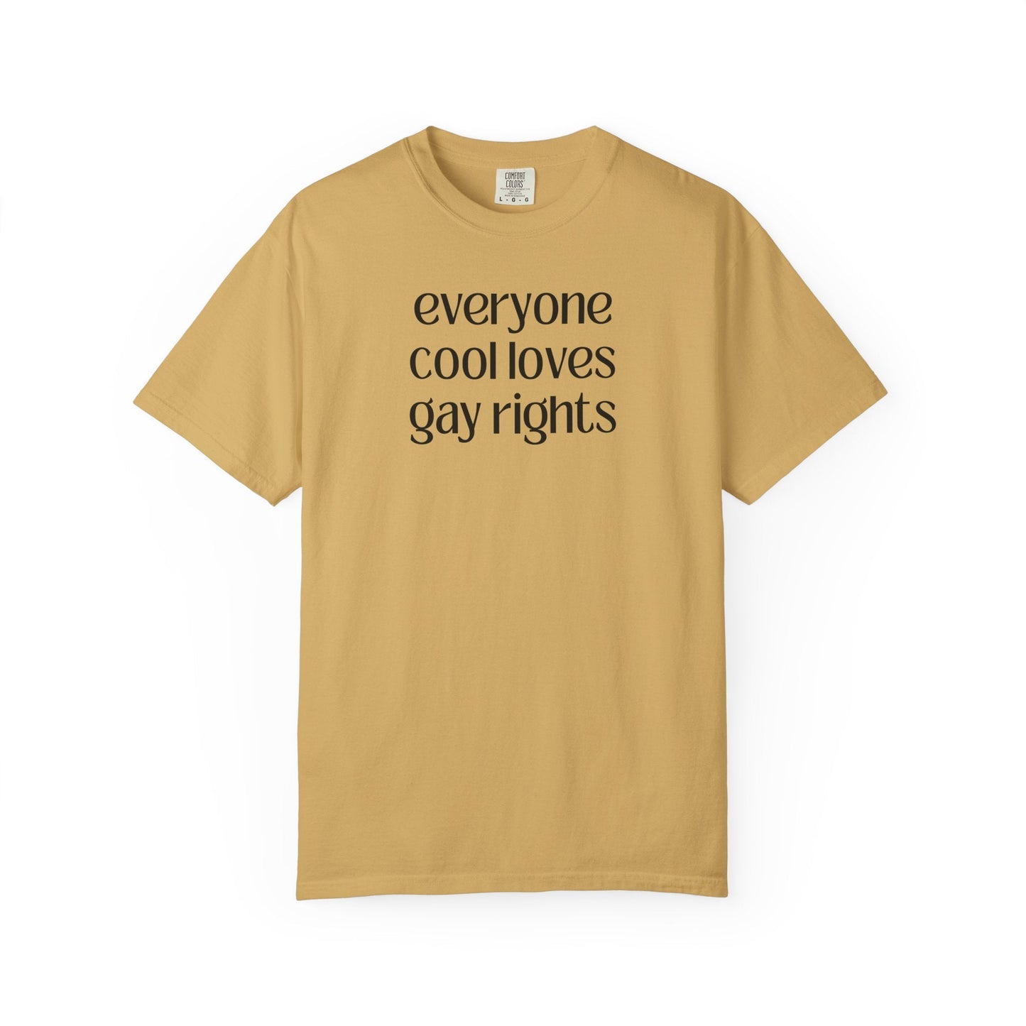 Everyone Cool Loves Gay Rights