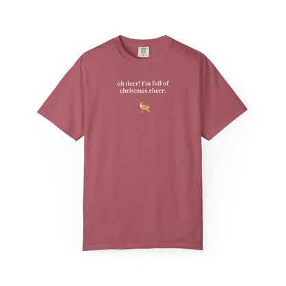 Cute Matching Christmas Tee Shirts