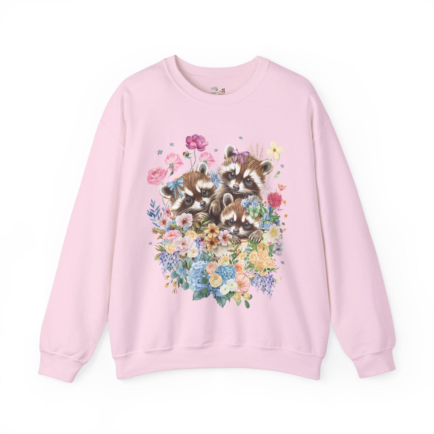 Cute Raccoon Sweatshirt