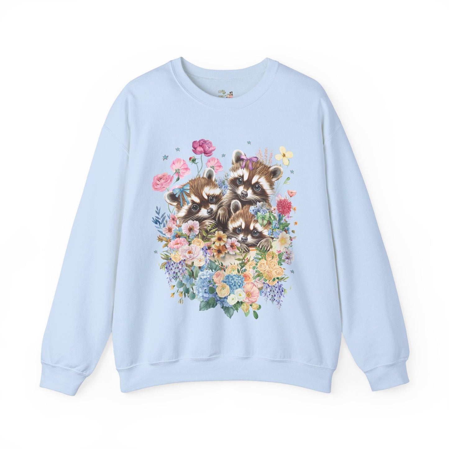 Cute Raccoon Sweatshirt