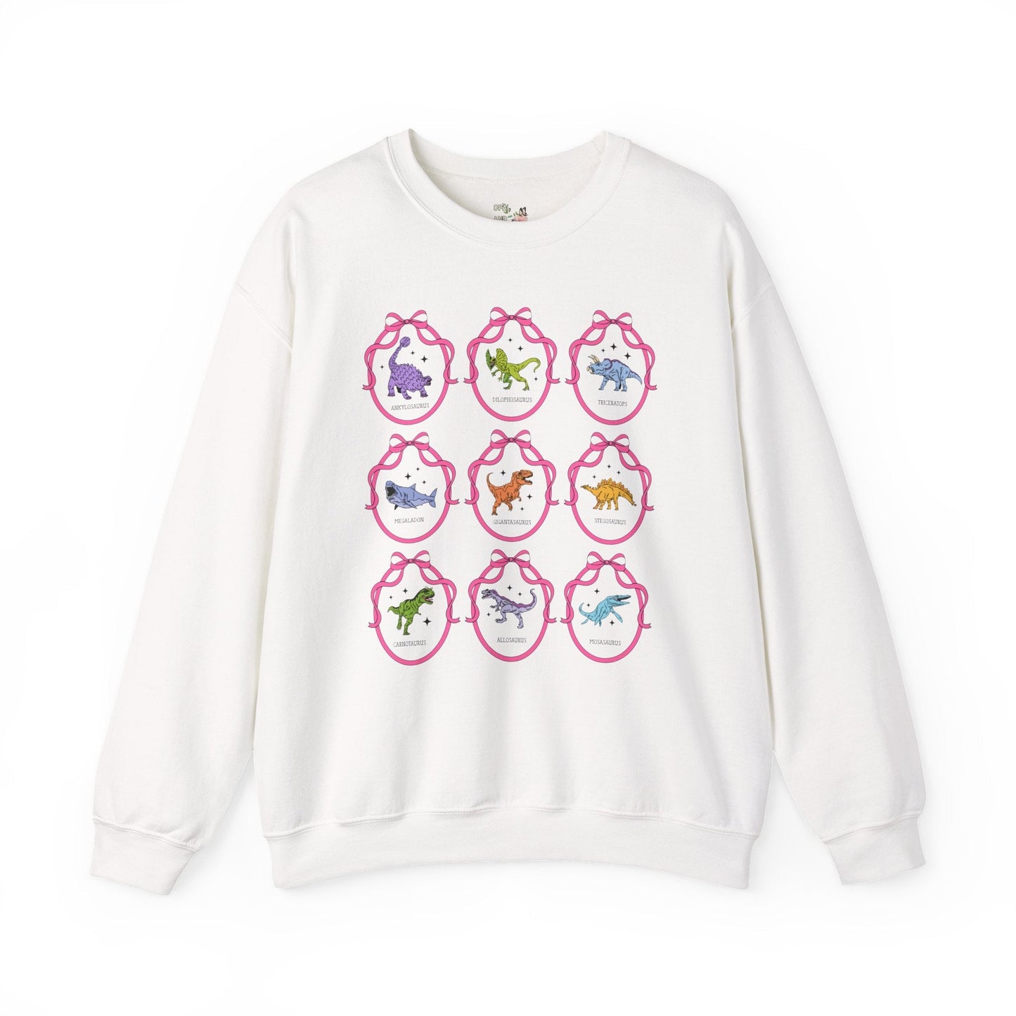 Dinosaur Lover Sweatshirt with Cute Ribbon Frames