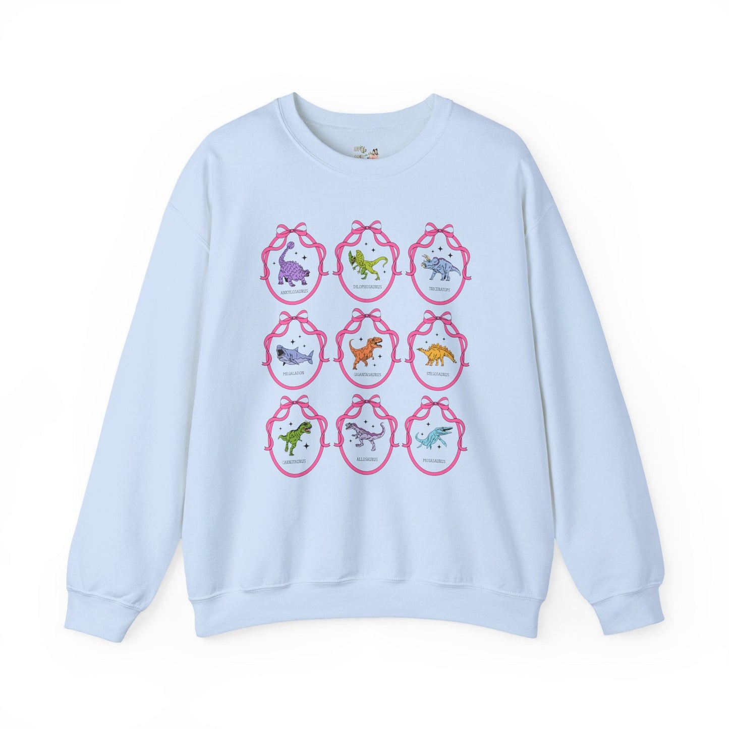 Dinosaur Lover Sweatshirt with Cute Ribbon Frames