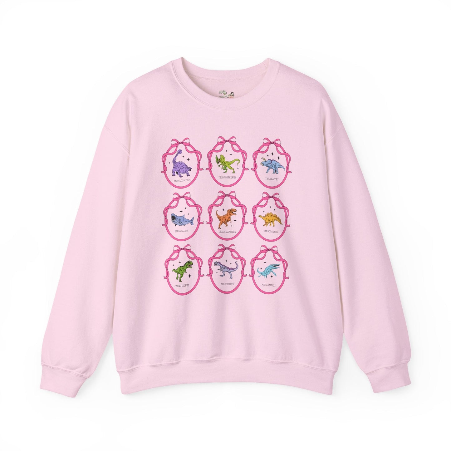 Dinosaur Lover Sweatshirt with Cute Ribbon Frames