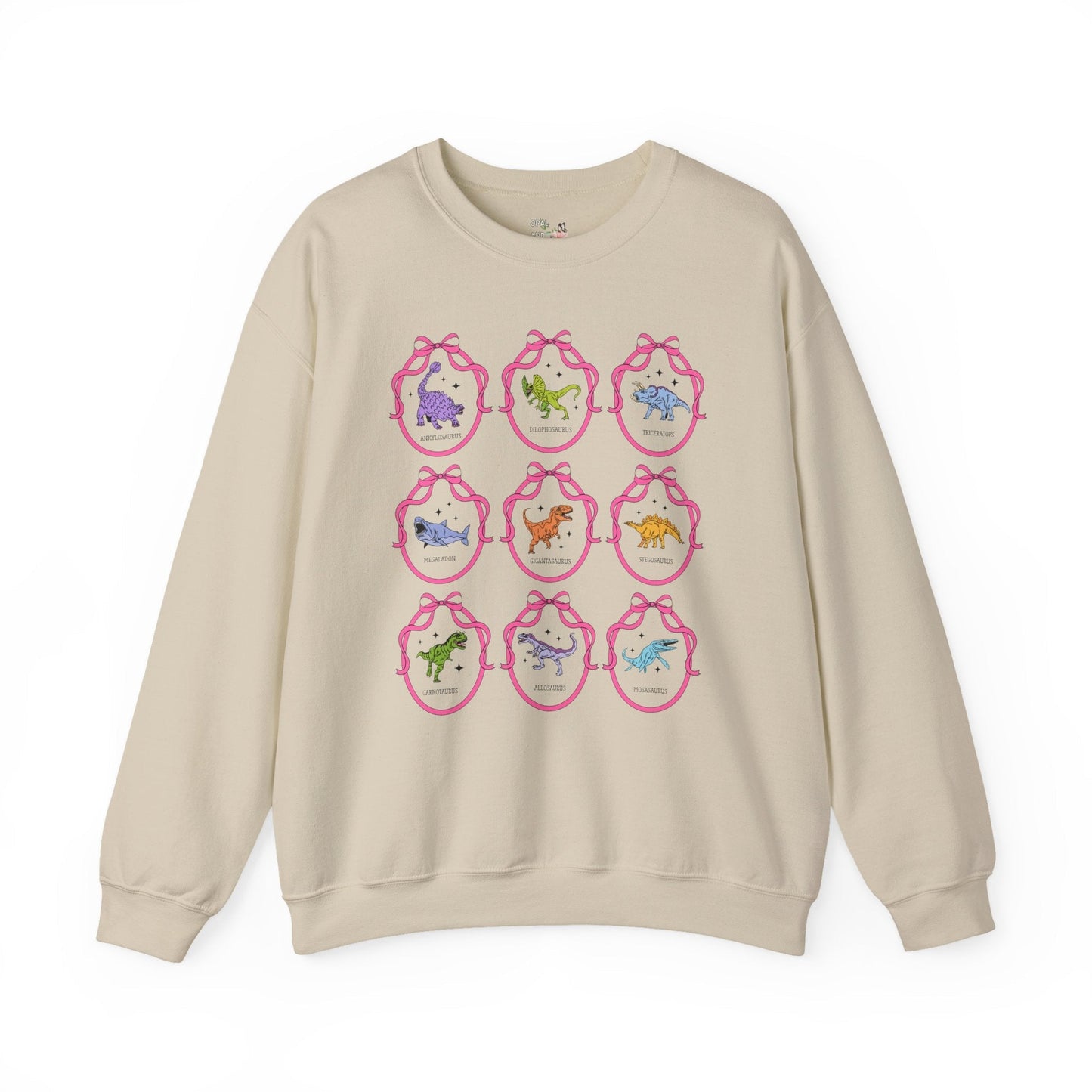 Dinosaur Lover Sweatshirt with Cute Ribbon Frames