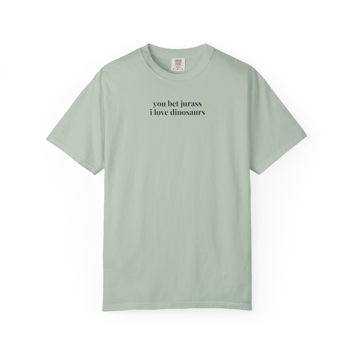 Funny Dinosaur Lover Tee Shirt