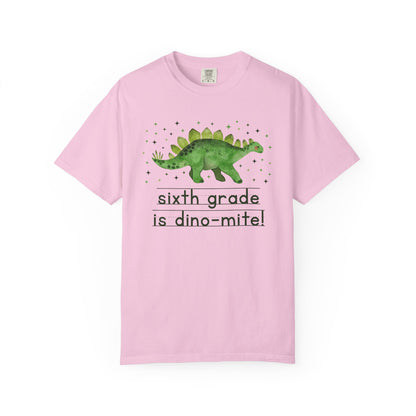 Dinosaur Sixth Grade Teacher Tee