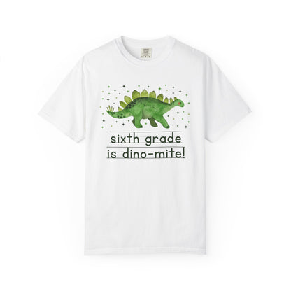Dinosaur Sixth Grade Teacher Tee