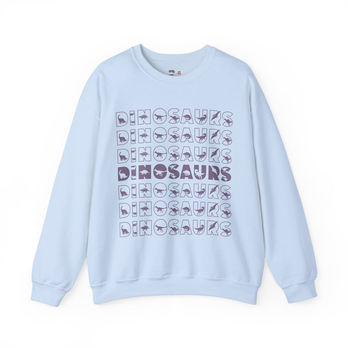 Dinosaur Sweatshirt: Cute Shirt for Dino Lover