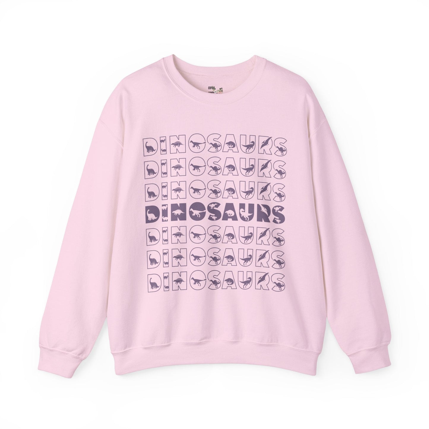 Dinosaur Sweatshirt: Cute Shirt for Dino Lover