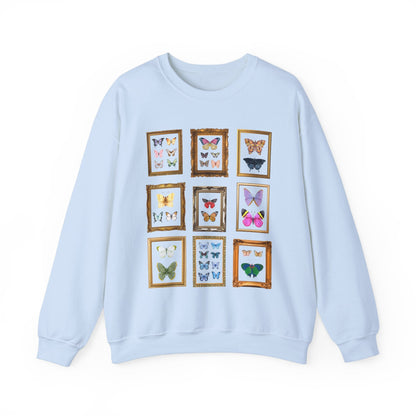 Entomologist Butterfly Lover Sweatshirt
