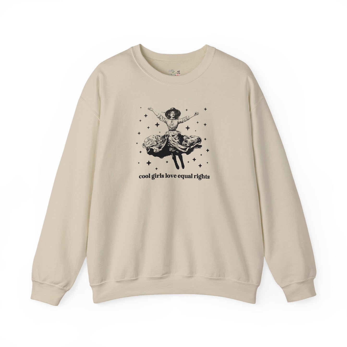 Equal Rights Funny Saying Sweatshirt