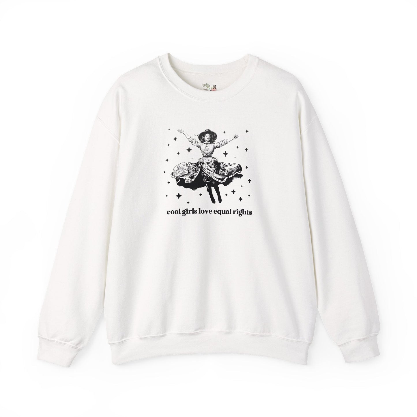 Equal Rights Funny Saying Sweatshirt