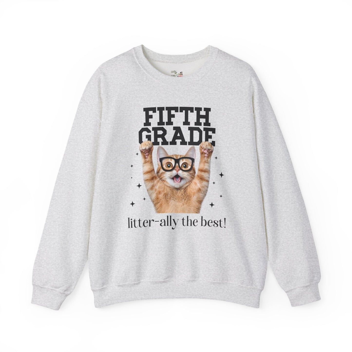 Fifth Grade Teacher Cat