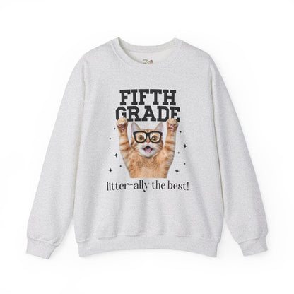 Fifth Grade Teacher Cat