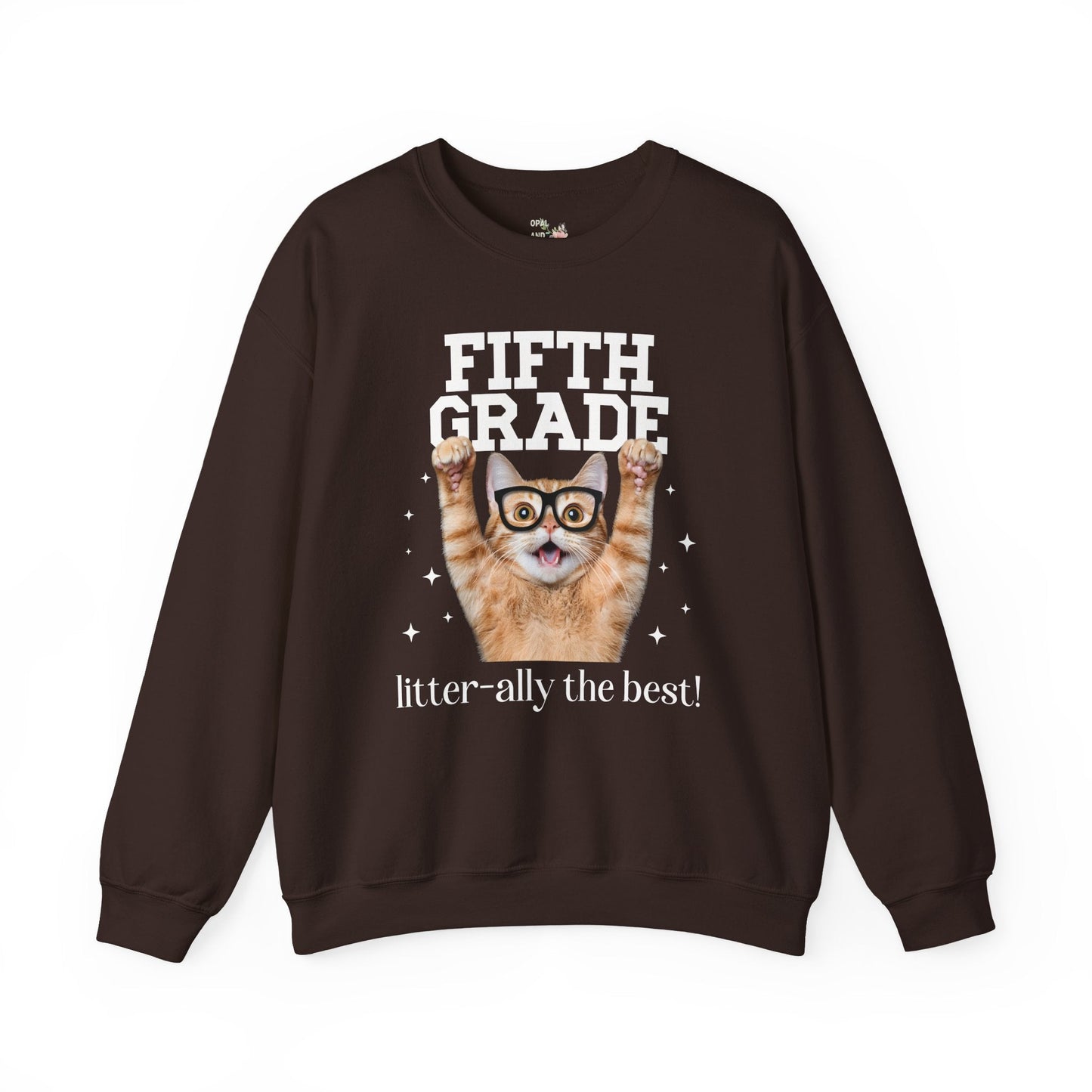 Fifth Grade Teacher Cat