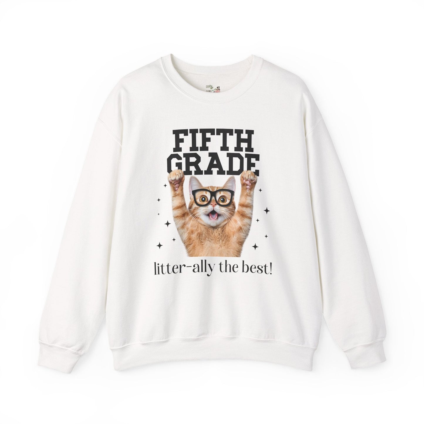 Fifth Grade Teacher Cat