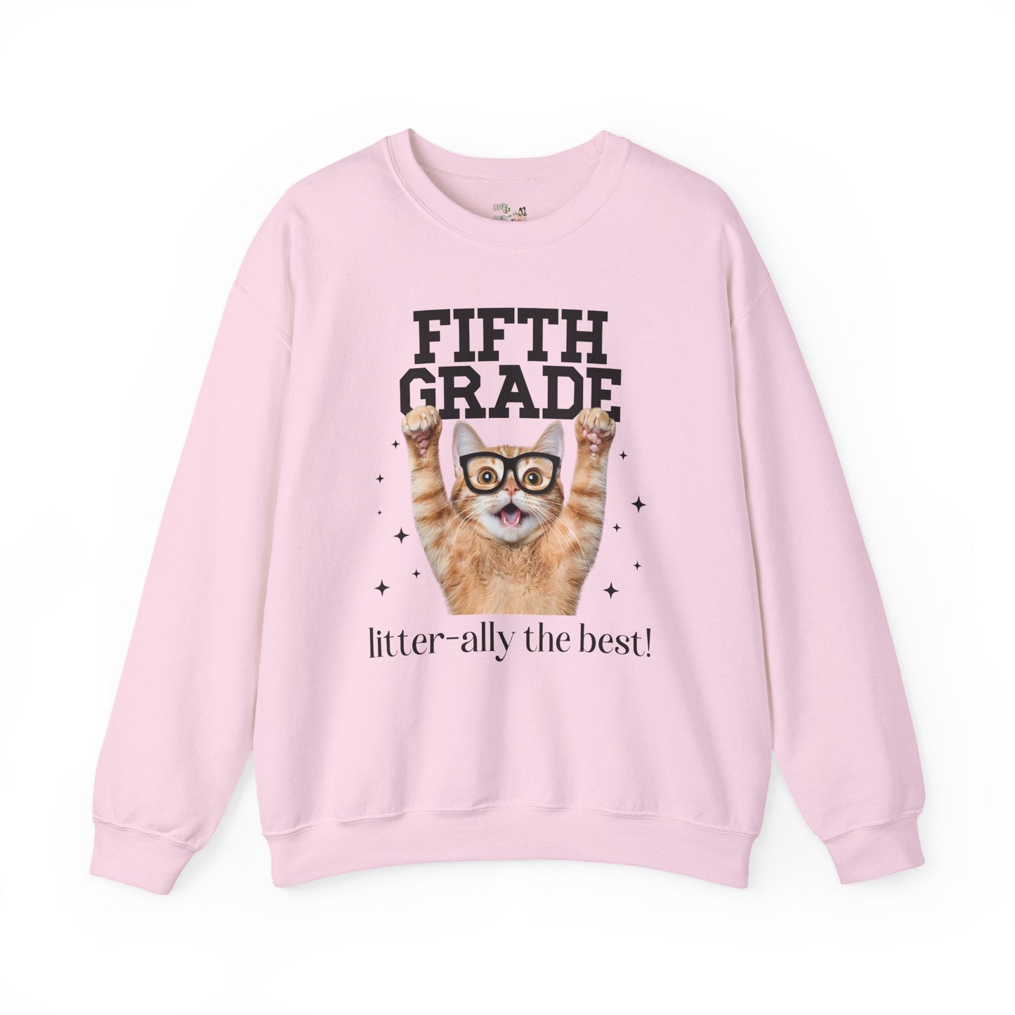 Fifth Grade Teacher Cat