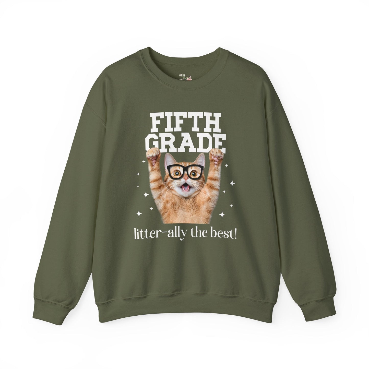 Fifth Grade Teacher Cat