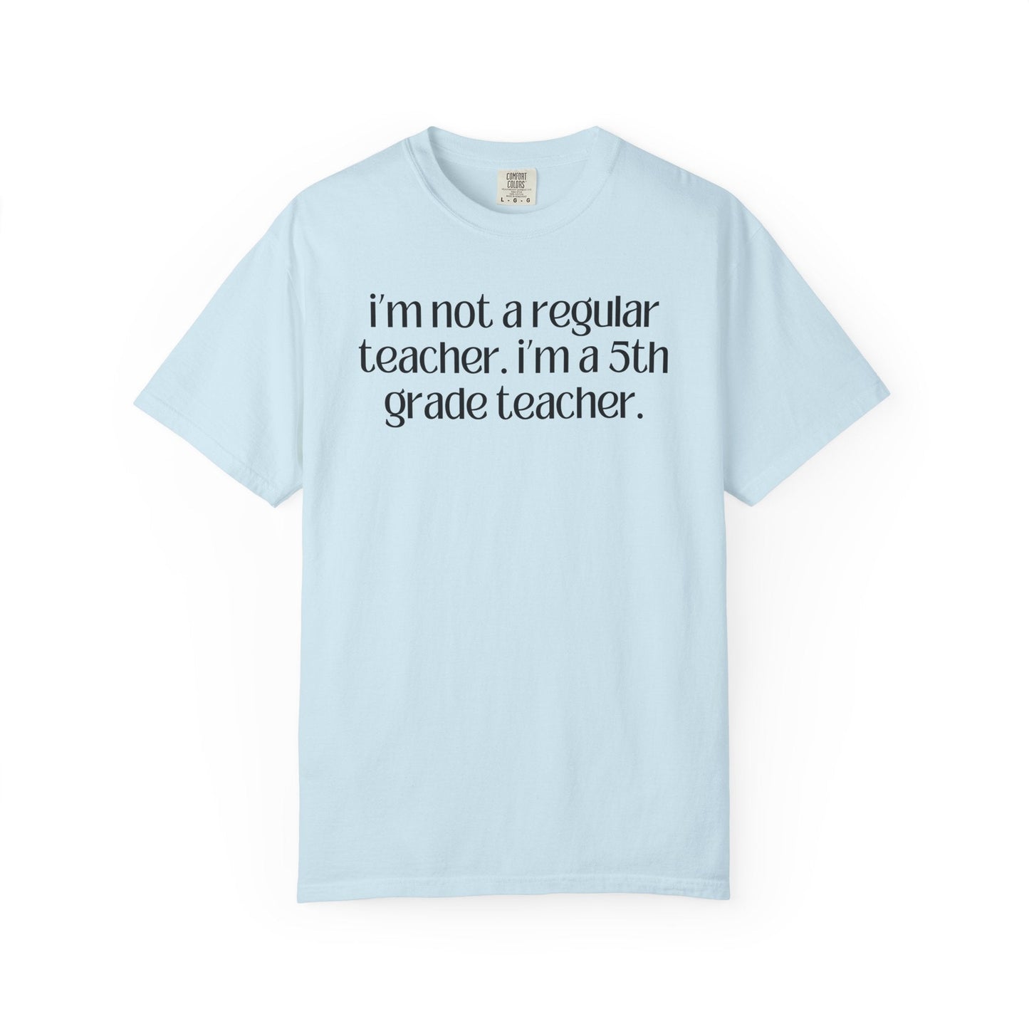 Fifth Grade Teacher