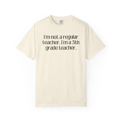 Fifth Grade Teacher