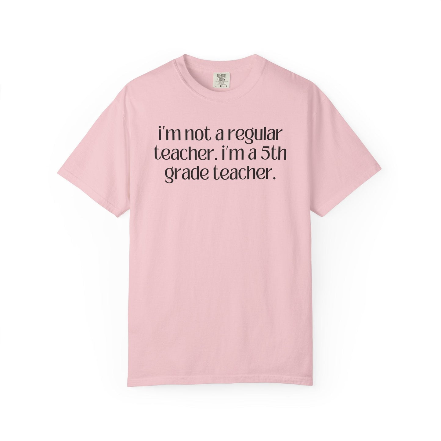 Fifth Grade Teacher